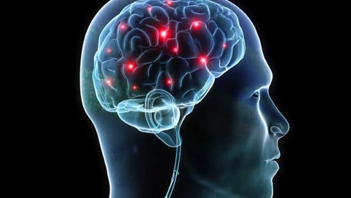 Brain map autism neurosciencenews